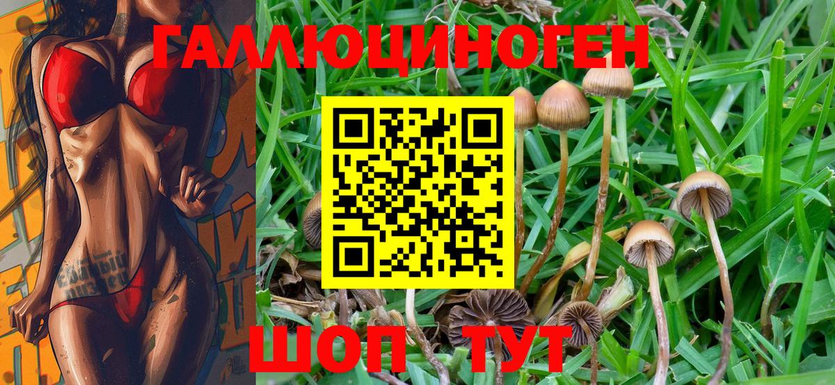 Псилоцибиновые грибы Cubensis  Вход с VPN  Псилоцибиновые грибы MAGIC MUSHROOMS  Назарово 